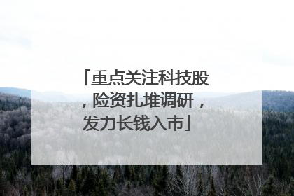 重点关注科技股，险资扎堆调研，发力长钱入市