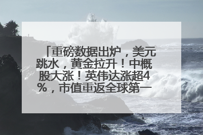 重磅数据出炉，美元跳水，黄金拉升！中概股大涨！英伟达涨超4%，市值重返全球第一！黄仁勋计划出售至多600万股股票