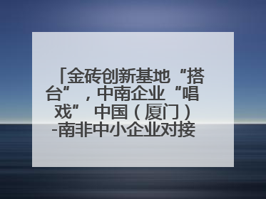 金砖创新基地“搭台”，中南企业“唱戏” 中国（厦门）-南非中小企业对接会在厦举办