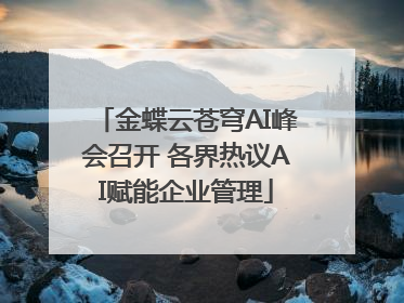 金蝶云苍穹AI峰会召开 各界热议AI赋能企业管理