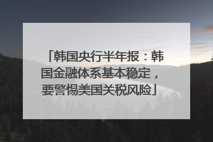 韩国央行半年报：韩国金融体系基本稳定，要警惕美国关税风险