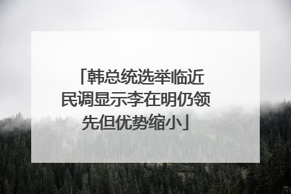 韩总统选举临近 民调显示李在明仍领先但优势缩小