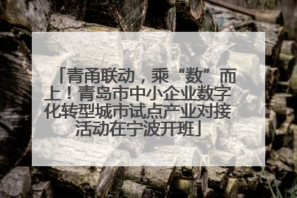 青甬联动，乘“数”而上！青岛市中小企业数字化转型城市试点产业对接活动在宁波开班