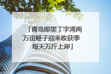 青岛即墨丁字湾两万亩蛏子迎来收获季 每天万斤上岸