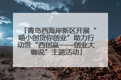 青岛西海岸新区开展“喵小创贷你创业”助力行动暨“西创赢——创业大咖说”主题活动
