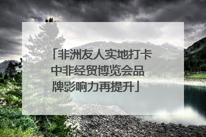 非洲友人实地打卡 中非经贸博览会品牌影响力再提升