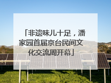 非遗味儿十足，潘家园首届京台民间文化交流周开幕