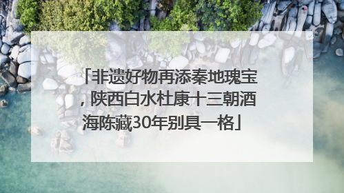 非遗好物再添秦地瑰宝，陕西白水杜康十三朝酒海陈藏30年别具一格