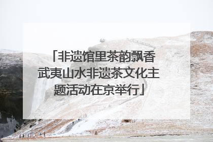 非遗馆里茶韵飘香 武夷山水非遗茶文化主题活动在京举行