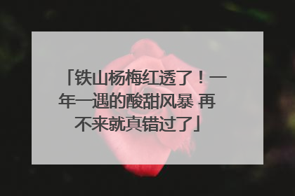 铁山杨梅红透了！一年一遇的酸甜风暴 再不来就真错过了