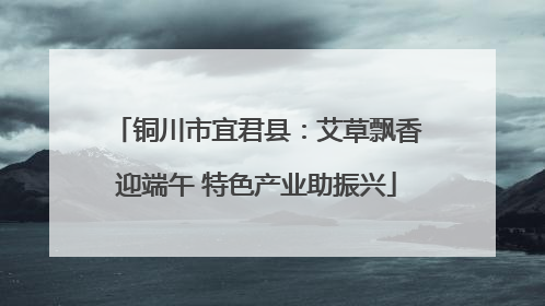铜川市宜君县：艾草飘香迎端午 特色产业助振兴