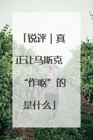 锐评｜真正让马斯克“作呕”的是什么