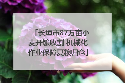 长垣市87万亩小麦开镰收割 机械化作业保障夏粮归仓