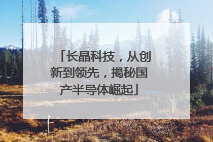 长晶科技，从创新到领先，揭秘国产半导体崛起