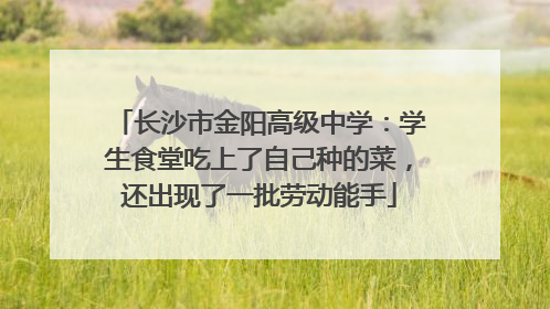 长沙市金阳高级中学：学生食堂吃上了自己种的菜，还出现了一批劳动能手