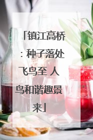 镇江高桥：种子落处飞鸟至 人鸟和谐趣景来