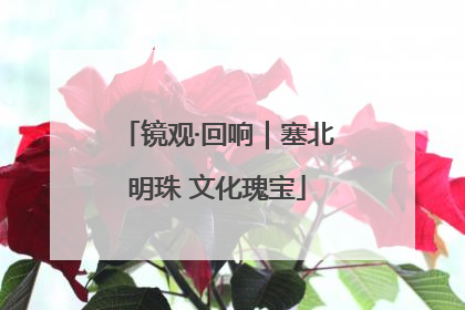 镜观·回响｜塞北明珠 文化瑰宝