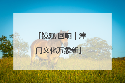 镜观·回响｜津门文化万象新