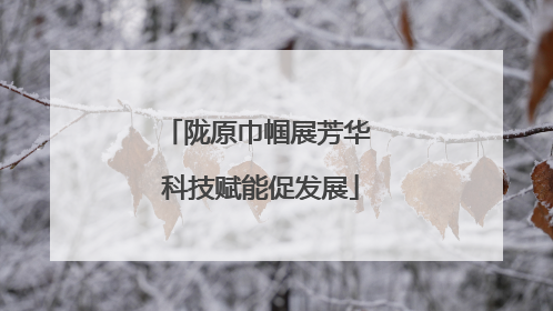 陇原巾帼展芳华 科技赋能促发展