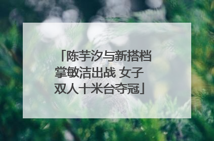 陈芋汐与新搭档掌敏洁出战 女子双人十米台夺冠