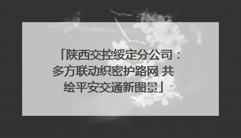 陕西交控绥定分公司：多方联动织密护路网 共绘平安交通新图景