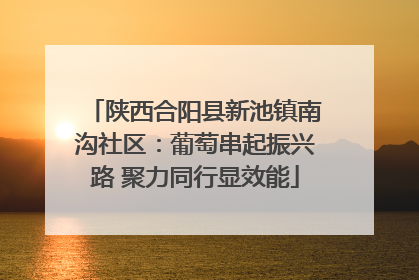 陕西合阳县新池镇南沟社区：葡萄串起振兴路 聚力同行显效能