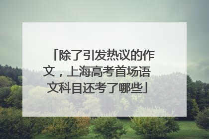 除了引发热议的作文，上海高考首场语文科目还考了哪些