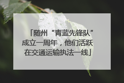 随州“青蓝先锋队”成立一周年，他们活跃在交通运输执法一线