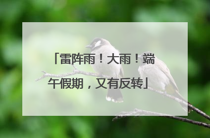 雷阵雨！大雨！端午假期，又有反转