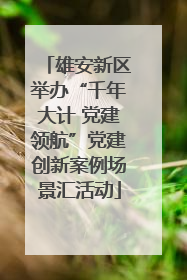 雄安新区举办“千年大计 党建领航”党建创新案例场景汇活动