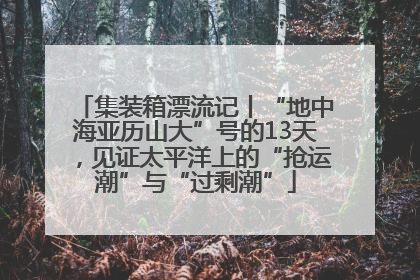 集装箱漂流记丨“地中海亚历山大”号的13天，见证太平洋上的“抢运潮”与“过剩潮”