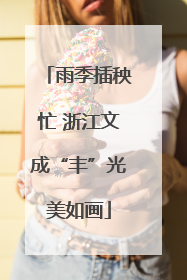 雨季插秧忙 浙江文成“丰”光美如画