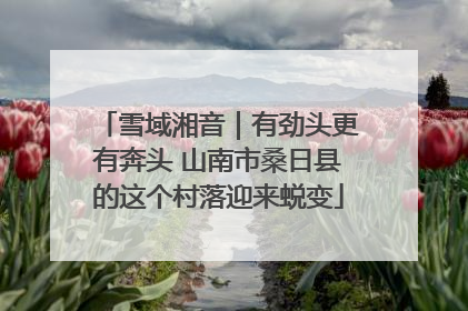 雪域湘音｜有劲头更有奔头 山南市桑日县的这个村落迎来蜕变