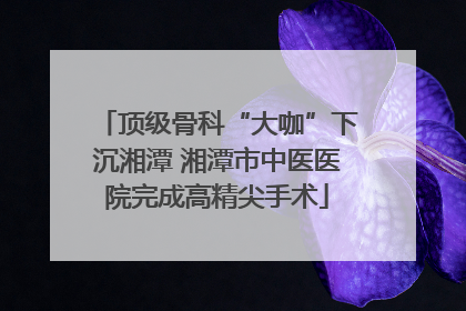 顶级骨科“大咖”下沉湘潭 湘潭市中医医院完成高精尖手术