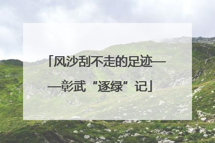 风沙刮不走的足迹——彰武“逐绿”记