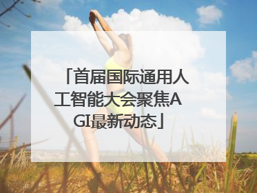首届国际通用人工智能大会聚焦AGI最新动态