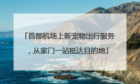 首都机场上新宠物出行服务，从家门一站抵达目的地