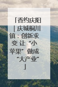 香约庆阳｜庆城桐川镇：创新求变 让“小苹果”做成“大产业”