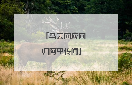 马云回应回归阿里传闻