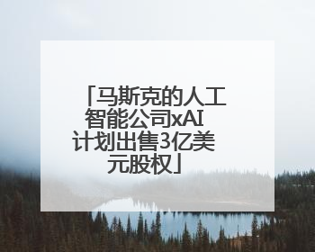 马斯克的人工智能公司xAI计划出售3亿美元股权
