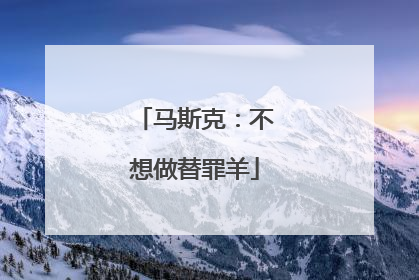 马斯克：不想做替罪羊