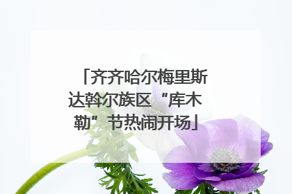 齐齐哈尔梅里斯达斡尔族区“库木勒”节热闹开场