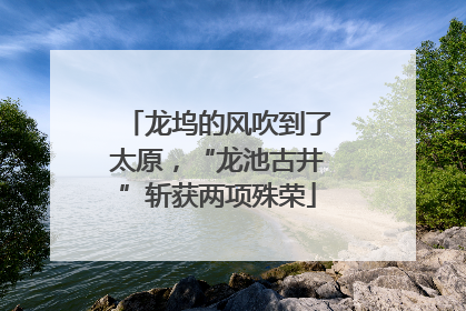 龙坞的风吹到了太原，“龙池古井”斩获两项殊荣