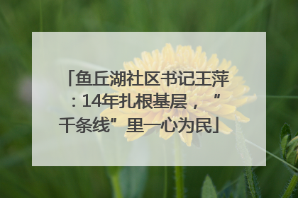 鱼丘湖社区书记王萍：14年扎根基层，“千条线”里一心为民