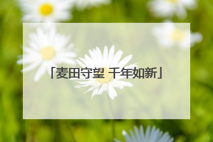 麦田守望 千年如新
