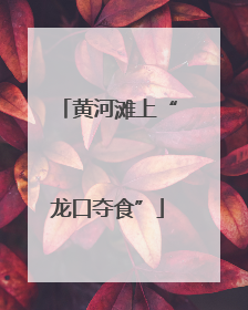 黄河滩上“龙口夺食”