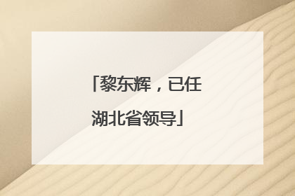 黎东辉，已任湖北省领导