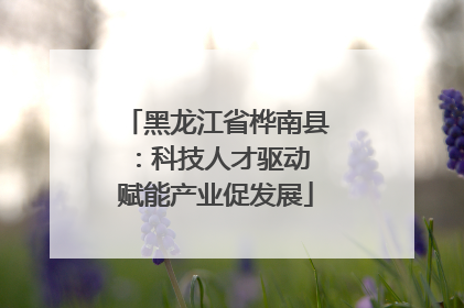 黑龙江省桦南县：科技人才驱动 赋能产业促发展