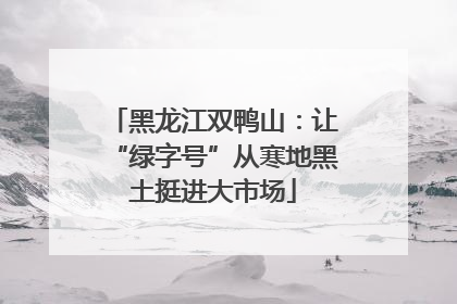 黑龙江双鸭山：让“绿字号”从寒地黑土挺进大市场