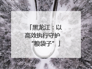 黑龙江：以高效执行守护“粮袋子”